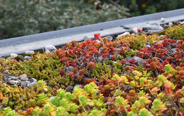 the cost of Mickleover green roof installation