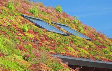 Mickleover living roof systems